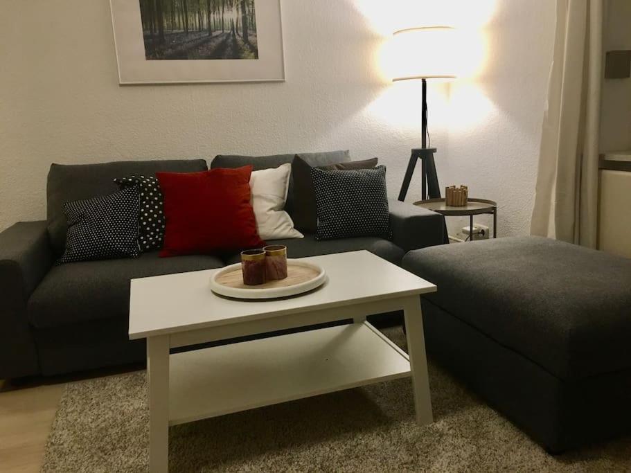 Schoene 2-zimmerwohnung, 10 Geh-minuten Zum *